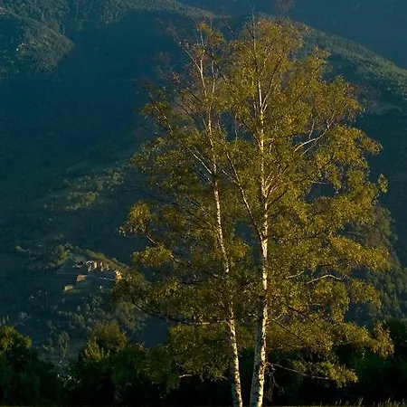 El Casal Prats-de-Mollo-la-Preste