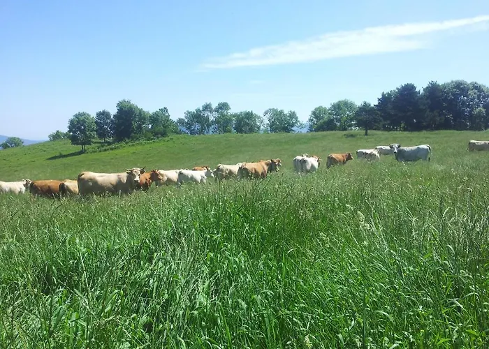 El Casal Pensión 3*